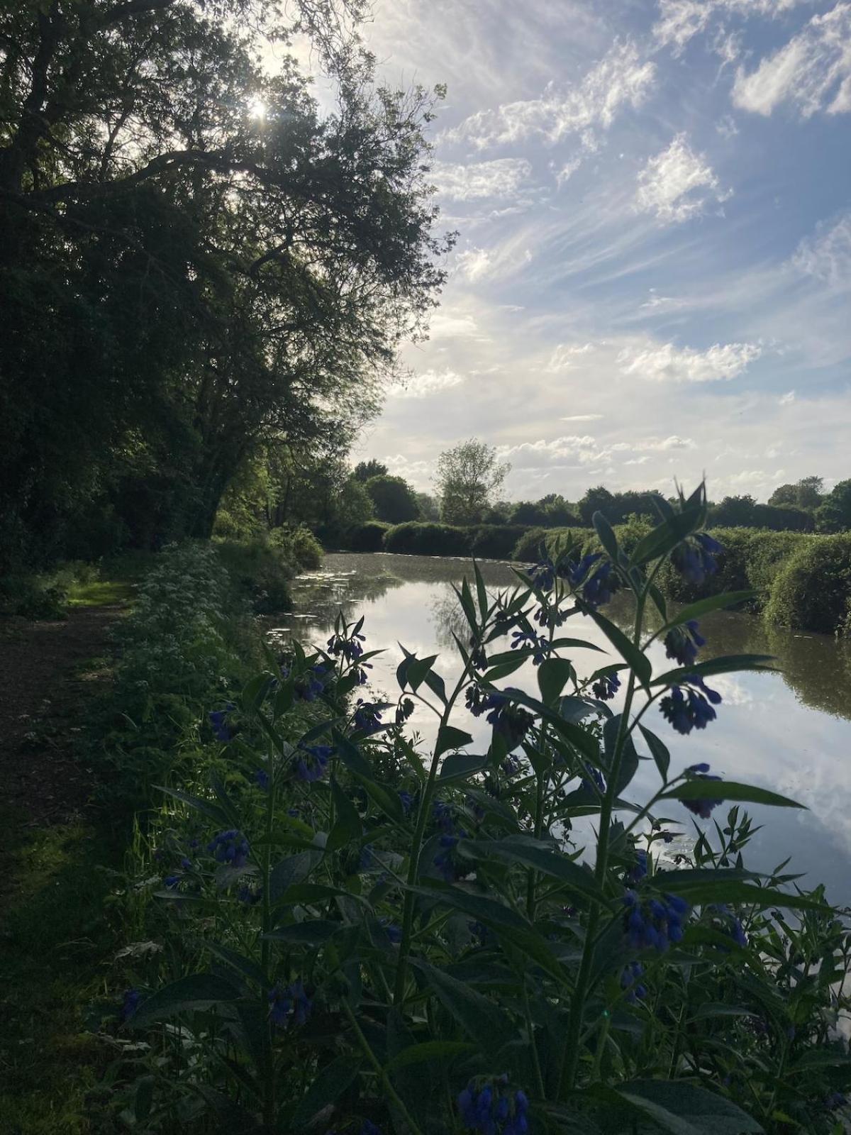 Dutch Cruiser Ship On A Tranquil Secluded River Holiday home *