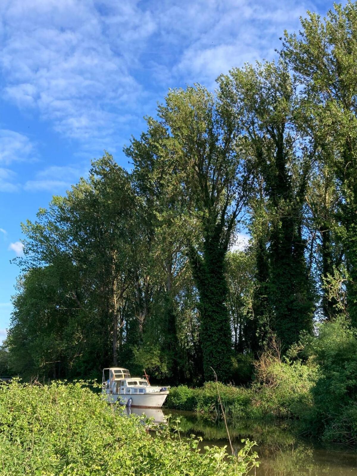 Holiday home Dutch Cruiser Ship On A Tranquil Secluded River Tonbridge